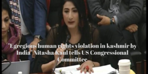 Read more about the article Nitasha Kaul’s expert testimony on Kashmir in US Congressional Hearing