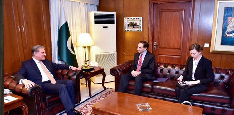 Read more about the article Pakistan will continue to play its reconciliatory role for peace in Afghanistan: FM Qureshi
