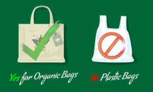 Read more about the article LHC directs departmental stores to stop using plastic bags