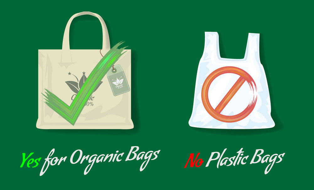 Read more about the article LHC directs departmental stores to stop using plastic bags