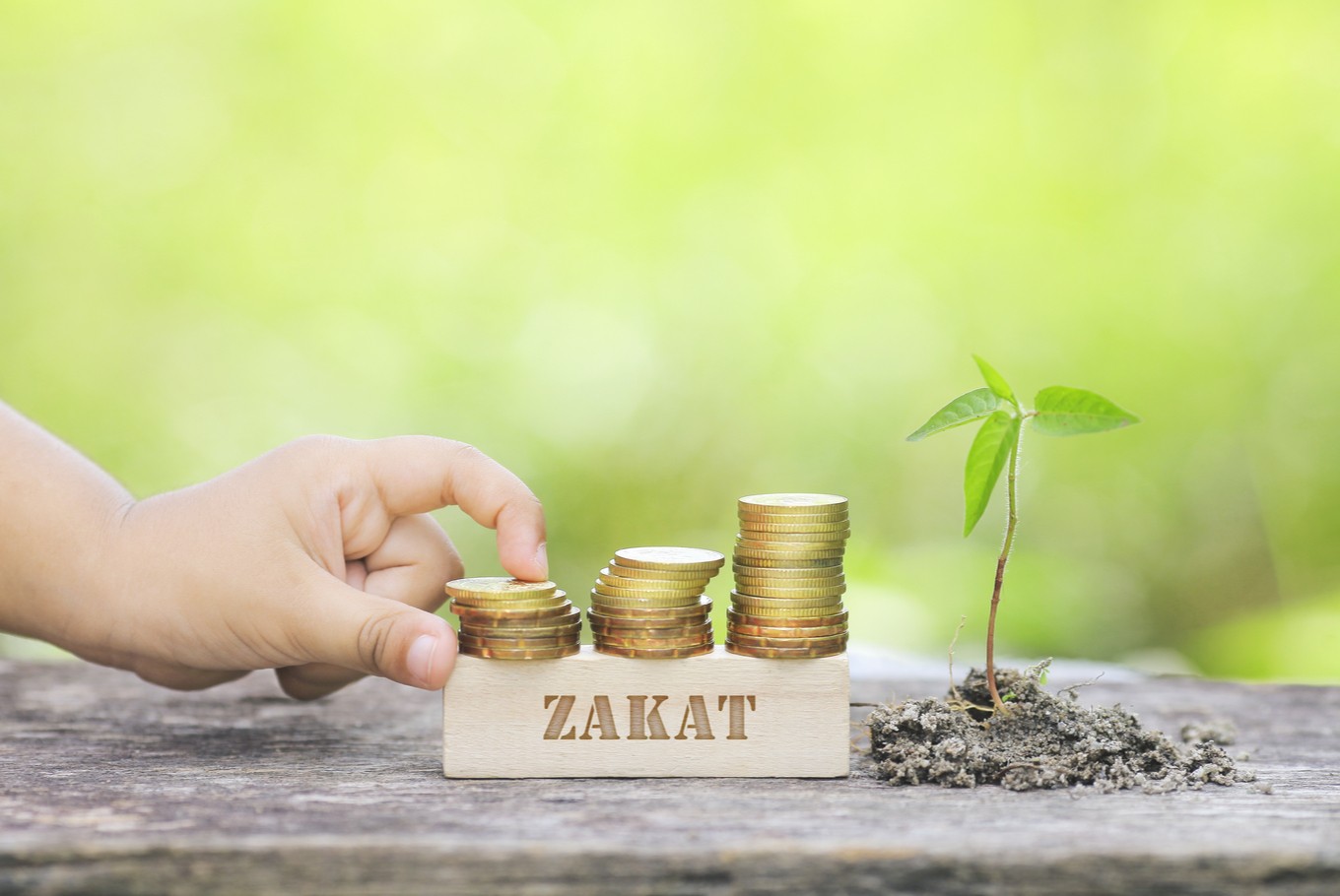 Read more about the article Here is Nisab for Zakat deduction on Bank Accounts