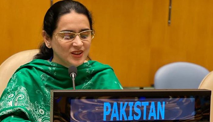 Read more about the article Who is Saima Saleem? A visually impaired diplomat of Pakistan at UNGA