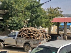 Read more about the article North Waziristan : Cutting of trees continues Without informing the Authorities