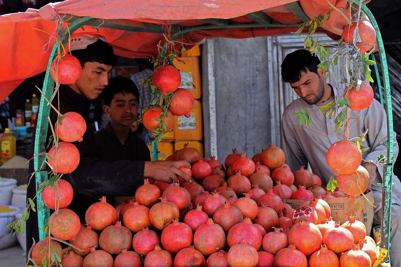 Read more about the article Afghanistan exports Pomegranates to Pak , results in reduced Fruit prices