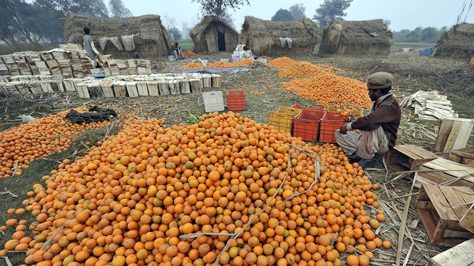 Read more about the article Pakistan expects to enhance orange exports to China this year: Razaq Dawood