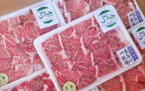 Read more about the article After Jordan , Egypt approves 10 slaughterhouses from Pakistan for meat import