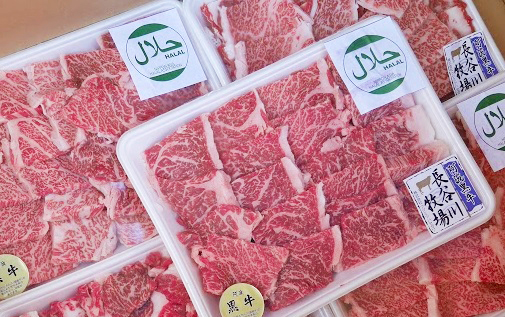 Read more about the article After Jordan , Egypt approves 10 slaughterhouses from Pakistan for meat import