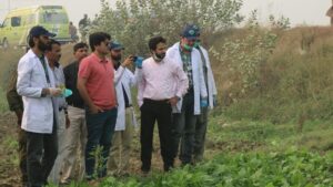 Read more about the article PFA destroys crops irrigated using poisonous sewage water