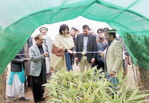 Read more about the article Dr. Sania Nishtar inaugurates Pakistan’s First-ever Ginger harvest