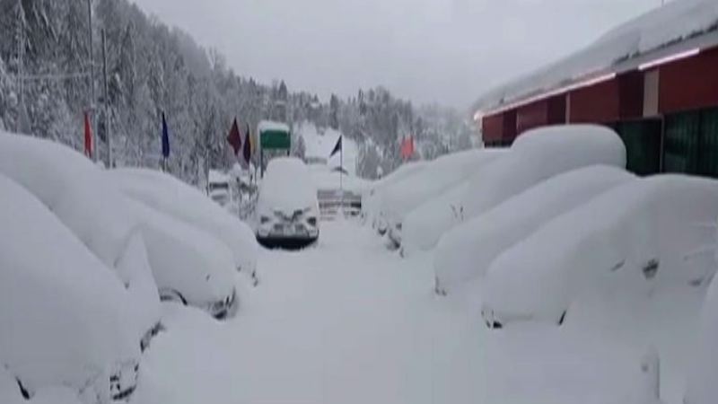 Read more about the article CM Punjab declares State of Emergency in Murree