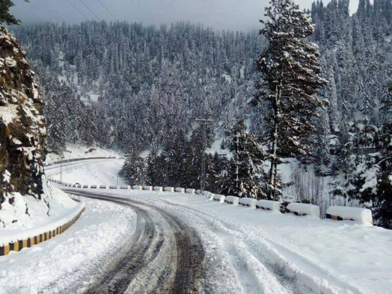 Murree weather